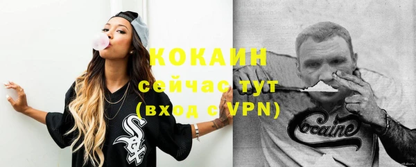 гидропоника Гусиноозёрск