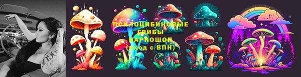 гидропоника Гусиноозёрск