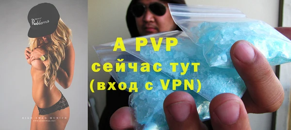 спиды Гусев