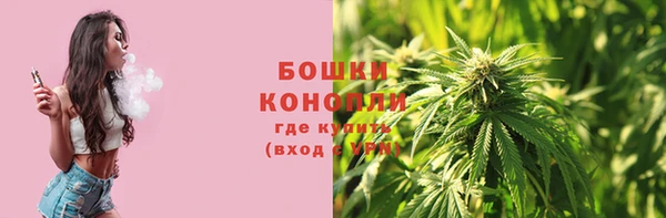 спиды Гусев