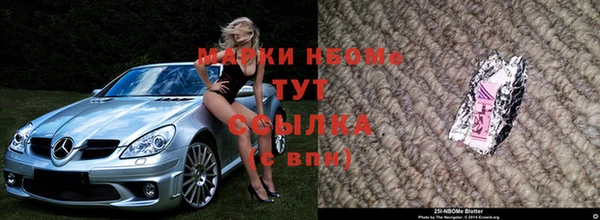 спиды Гусев