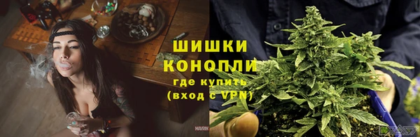 гидропоника Гусиноозёрск