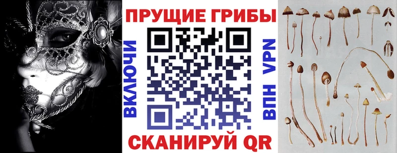Псилоцибиновые грибы мицелий  Норильск 
