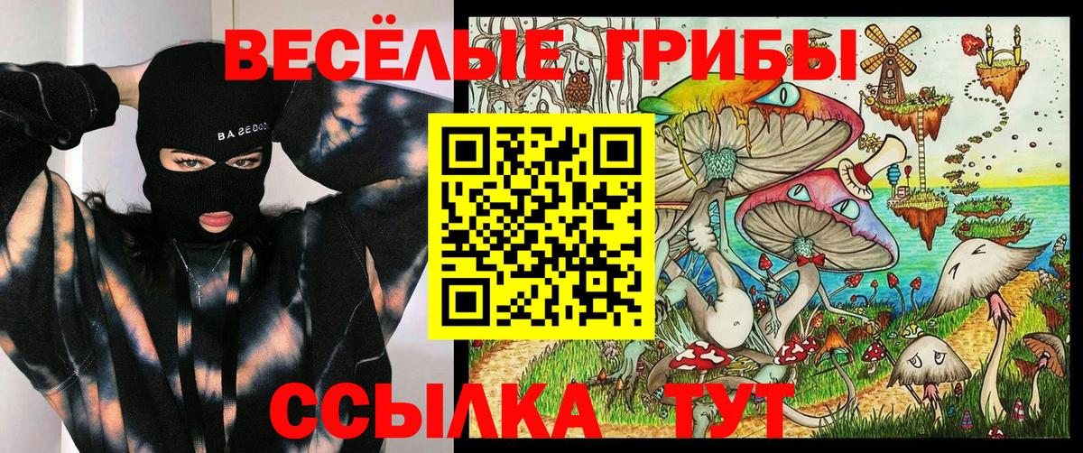 продажа наркотиков  Вход с VPN  Псилоцибиновые грибы Psilocybine cubensis  Норильск  Псилоцибиновые грибы Psilocybine cubensis 